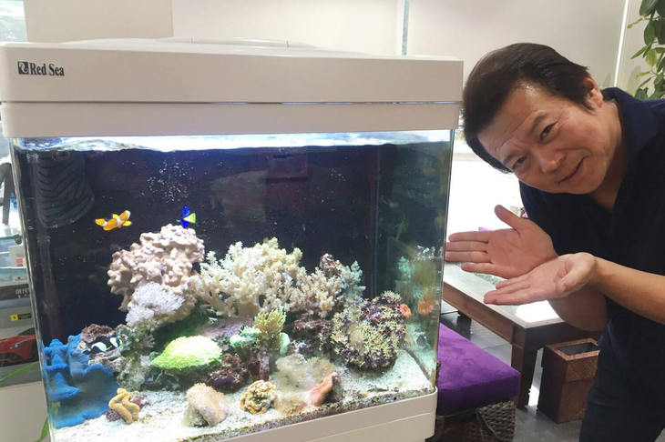 コーナーストーンズでは、かわいい熱帯魚を飼育している。「お客さまの奥さまやお子さまに喜んでいただくためですウフフフ～～」と榎本 修社長。