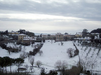 近所の谷も雪景色となった。