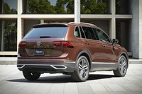 写真のボディーカラーは「TSIファーストエディション」専用色の「ジンジャーブラウンメタリック」。