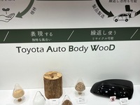 「タブウッド」の材料は杉の間伐材とプラスチック。これを自動車用に使えるようにするには人知れぬ苦労があったのだ。