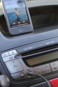 同じくアイゴ。最安グレードでも最近はAUX端子付きオーディオが付いていたりする。