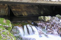 ワイオミングの間欠泉。米国一うまいといわれる水の産地。