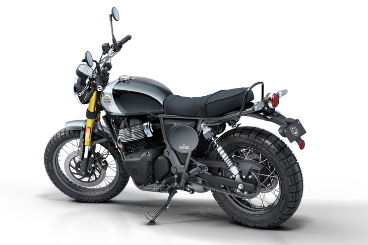 ベア650（ゴールデン・シャドウ）