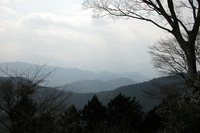 第94回：“奇跡の山”、高尾山に迫る危機その6：取り返しのつかない大きなダメージ（矢貫隆）の画像