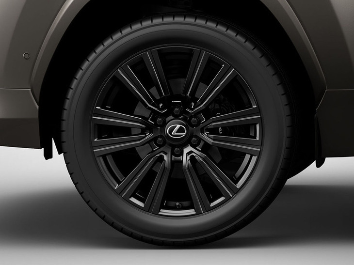 ブラックの鍛造アルミホイール。