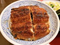 炭焼 うな富士のうなぎ丼。あっつあつで、外「パリッ」、中「フワッ」で、ボリューム満点。めっちゃおいしい。