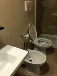 ひと月にわたり東京で暖房便座に慣れきった身に、イタリアの便座の冷たさは身にしみる。