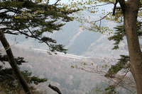 第93回：“奇跡の山”、高尾山に迫る危機その5：圏央道と、涸れた滝（矢貫隆）