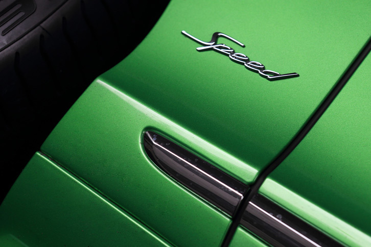 フロントのフェンダーパネルに装着された「Speed」のバッジ。