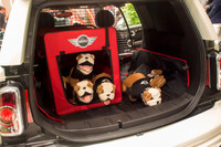 2座のおしゃれバン、「MINIクラブバン」発売の画像