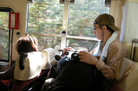 サルを見つけると、車中の多くの観光客たちは色めき立った。