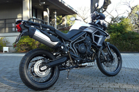 「タイガー800XCx」
    