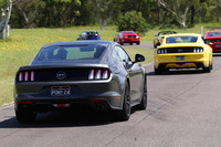 コースインを待つ色とりどりの「フォード・マスタング」。