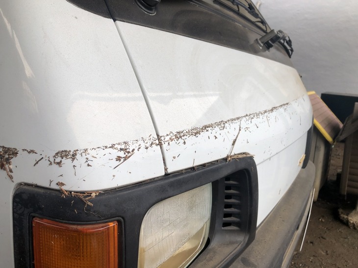 なんとぉ！ セクシージャンボのヘッドランプの上に最高水位の痕跡があぁぁぁぁぁぁぁ！ フロアより上まで浸水した場合は、水没車扱いになるようだ。