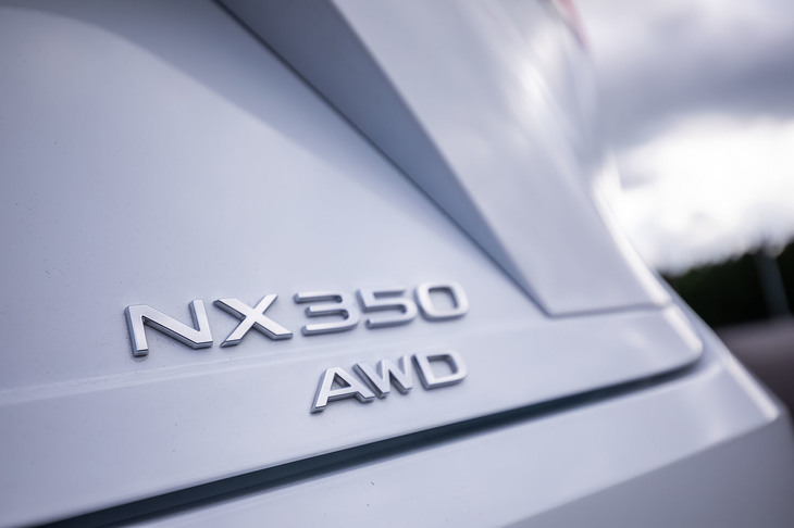 NX350“Fスポーツ”（エンブレム）