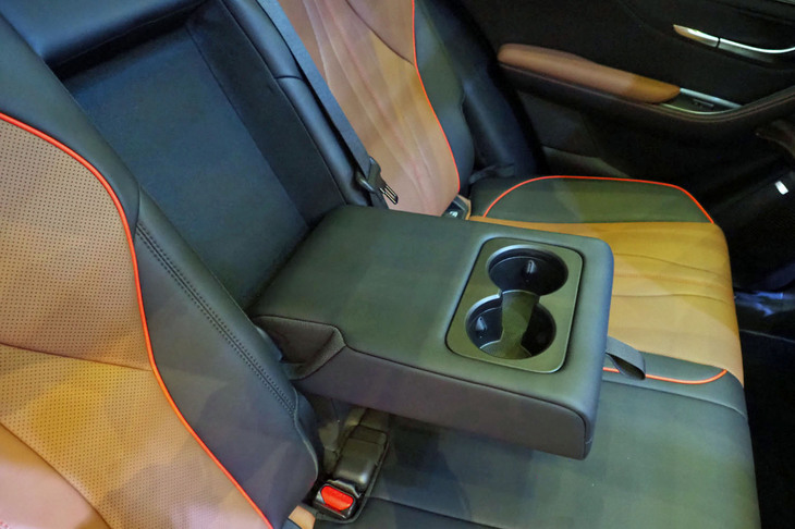 BYDシーライオン6（リアシートのアームレスト）