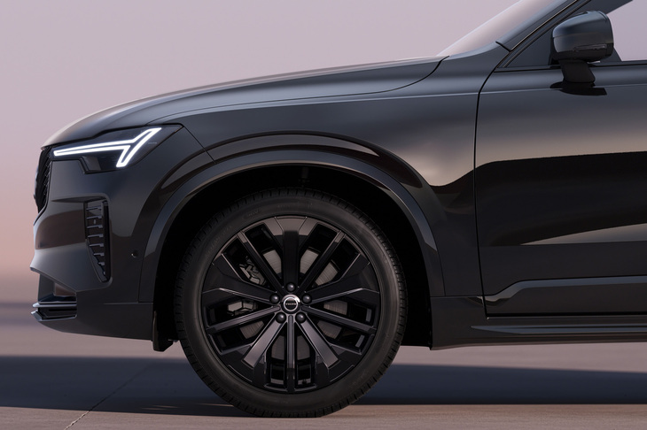 21インチサイズの5マルチスポークアルミホイール（ブラック）を装備している。