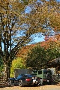 10月にはちょっと旅に出たくなり、青梅、奥多摩、檜原、あきる野を散策。なんでそんなご近所をというと、不調な「バイパー」での遠出がはばかられたから。秋川渓谷の十里木駐車場にて。