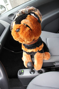 あるスマートオーナーのお供である、犬のぬいぐるみ。2人乗りだけに存在感が強調される。