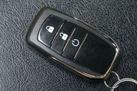 オプションの設定は多彩で、キーレスエントリー＆セキュリティーシステムやBluetoothオーディオ、USBポートなども用意される。