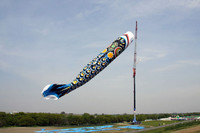 これが「ジャンボこいのぼり」。全長100m、口と目玉の直径が10m、重さ350kgで、もちろん世界最大。やや下に見える小さな吹き流しのようなものが、普通のこいのぼり（全長10m）である。こいのぼりもスゴイが、これを揚げる移動式の巨大なクレーンにも驚いた。