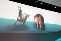 「『CLSシューティングブレーク』のデザイン作業は、馬とカバを融合させるがごとく難易度の高い作業だった」とは、ダイムラーの弁。