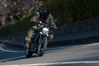 着座位置の高さやソフトなサスペンションなどがかなえる「スヴァルトピレン401」のライドフィールは独特なものだ。