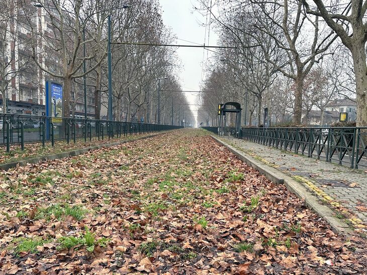 廃線となったトリノ市電跡。2025年1月筆者撮影。