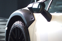 カーボンファイバーをベースとした複合素材によるオーバーフェンダーが備わる。