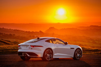 「チェッカーフラッグエディション」では、「ブラックデザインパック」（エクステンデッドサイドシル付き）とブラックコントラストルーフ、20インチサイズの「グロスブラックフィニッシュ・ダイヤモンドチューンド・ホイール」などが装備されている。