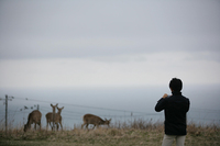 ボルボXC90 3.2 Sport（4WD/6AT）【短評（前編）】の画像