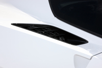 トランスミッションとデファレンシャルを冷却するためのエアインテーク。リアウィンドウの両側に配置されている。