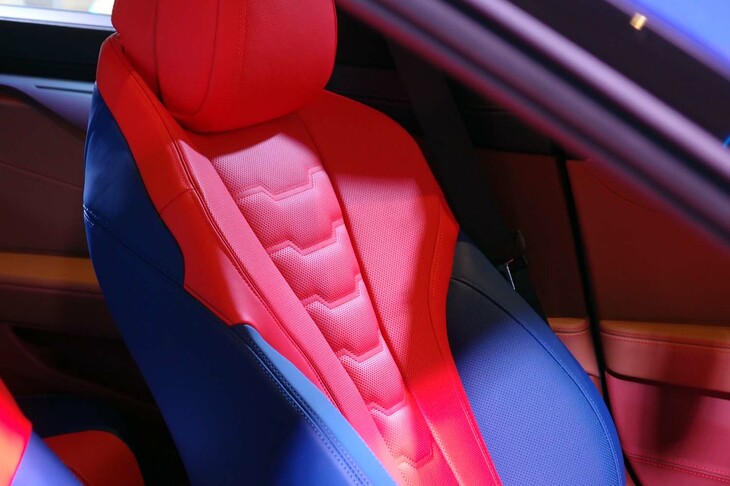 THE 8 X JEFF KOONS（フロントシートの背もたれ）