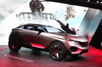 パリサロン2014の会場から（その10）