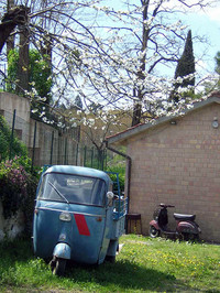 「アペ」と「ヴェスパ」春の宴。（写真2）