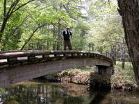 第67回：花粉症はナゼ発症するのか〜答えは日光に〜（その4）（矢貫隆）