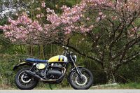 次は仕事とか関係なしに、「ロイヤルエンフィールド・ベア650」で道志みちを散策したいな。