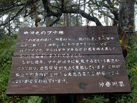 頂上付近で見つけた看板。ブナが次々と枯死していること、その原因が大気汚染と考えられていることが書かれている。