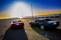 “赤い玉号”（左）と“黒まむしスッポン丸”（右）。（写真＝木村博道）