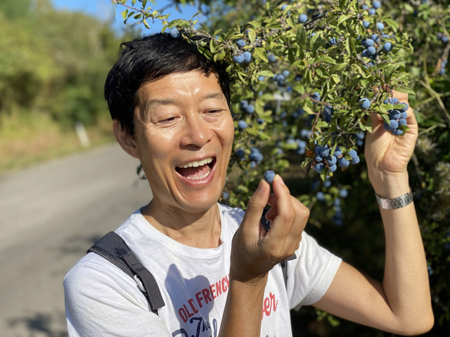 第775回：1970年代原付バイクの代名詞「ラッタッタ」の起源を探る