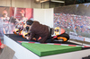 「Honda Racing THANKS DAY 2015」の会場から 【画像・写真】11