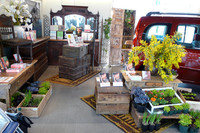 ルノーと蔦屋書店のコラボショップがオープンの画像