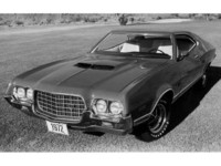 「フォード・グラン トリノ」
    1968年に「フェアレーン」の上級車種として誕生した中型車が「トリノ」。1972年に第3世代へと移行し、上級グレードが「グラン トリノ」と呼ばれた。