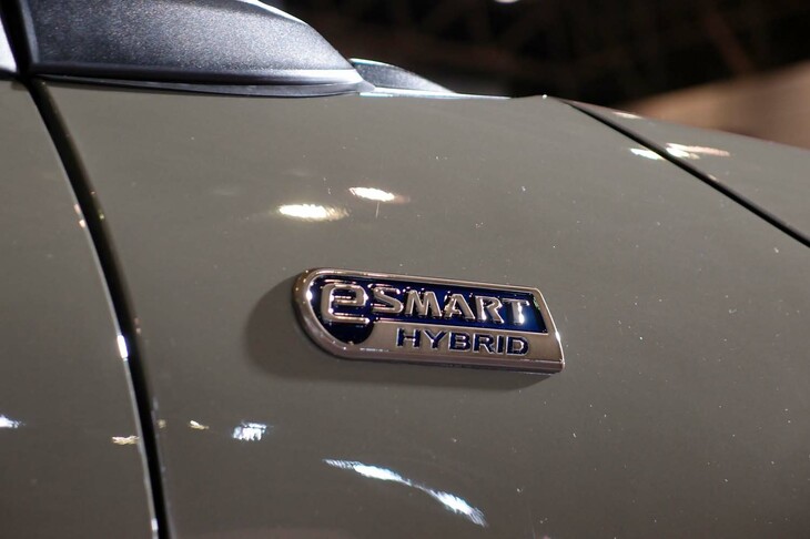 ダイハツ・ロッキー クロスフィールドver.（フロントフェンダー部のエンブレム）