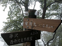 第59回：枯れゆくブナの山、檜洞丸（その8）（矢貫隆）