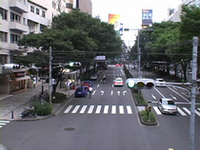 【Movie】表参道をシャンゼリゼに!?の画像