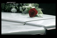 サルコジ大統領夫人、ランチアのCMで「リムジンを葬る」　の画像