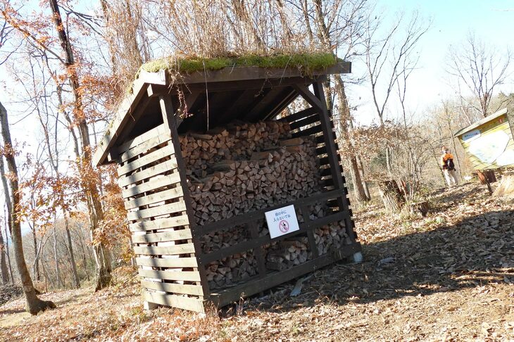 もちろん、間伐した木は捨てたりせず、キャンプのたき火や各種ワークショップの燃料として活用される。