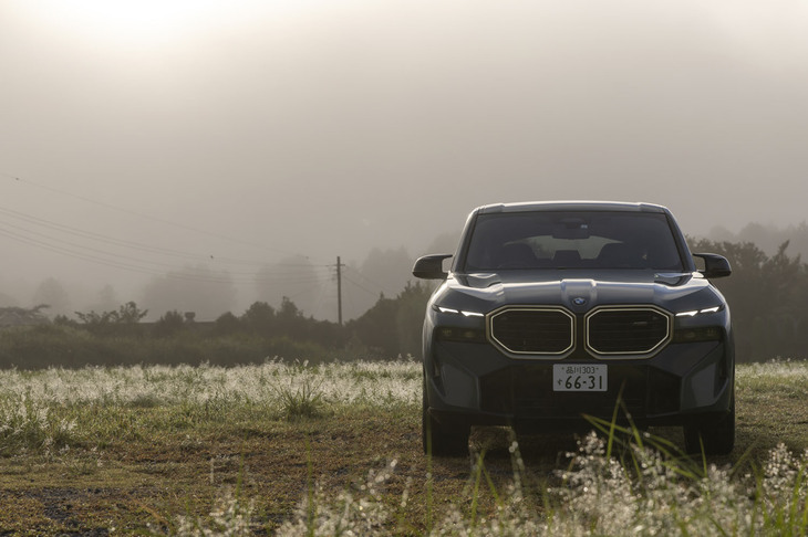 暗がりで光を放つばかりでなく、キドニーグリルはそのサイズも圧巻だ。