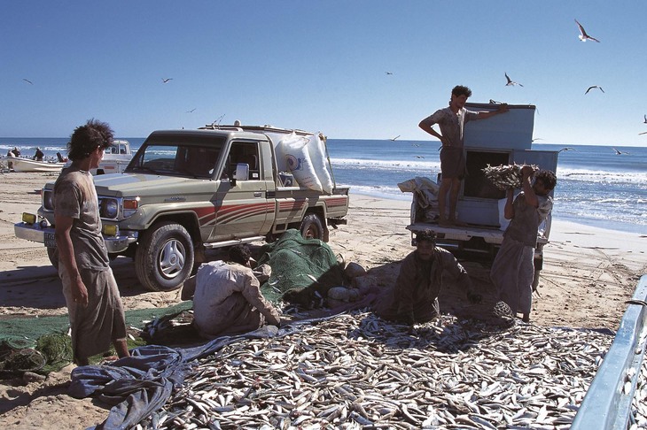中近東、アフリカ、東アジア／オセアニアを中心に、世界のさまざまな国と地域で販売されてきた“70”系「ランドクルーザー」。写真はオマーンの漁村における、ランクルのある風景。